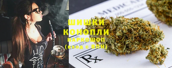 сатива Арсеньев