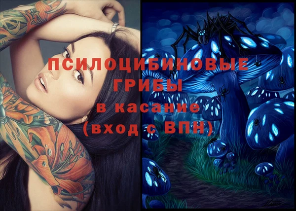 сатива Арсеньев